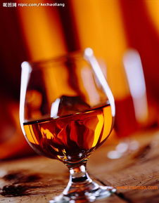 智利进口红酒卫生证与批发经营全解析